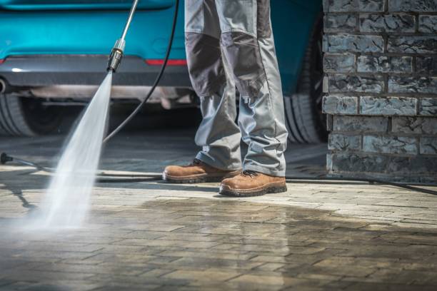 Best Soft Washing for Delicate Surfaces in Cokato, MN