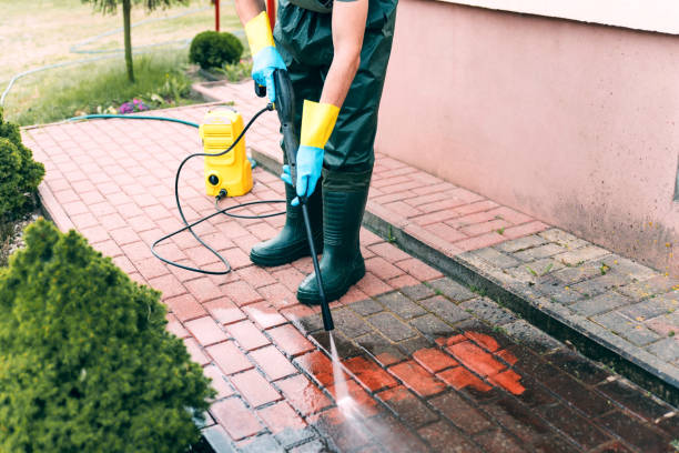 Best Window and Screen Pressure Cleaning in Cokato, MN